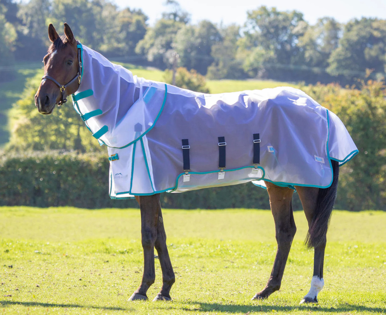 Shires Highlander Fine Mesh Fly Sheet/Neck Set: Size 81, white with teal/mustard