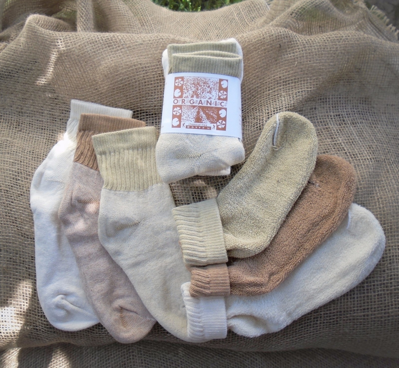 Organic Threads Colorgrown Organic Cotton Short Top Socks NEW Made in USA