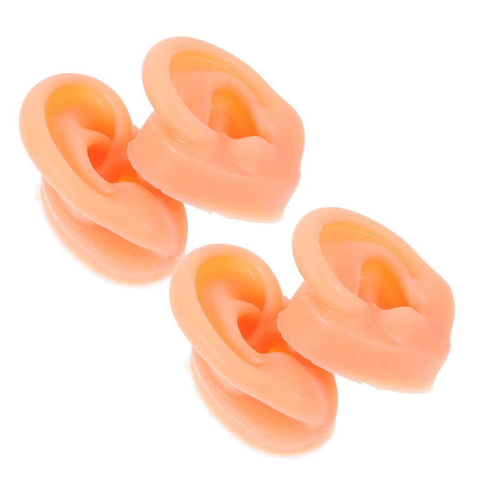 2 Pair Piercing Ear Model Human Anatomy Fake Display Mold Earpiece