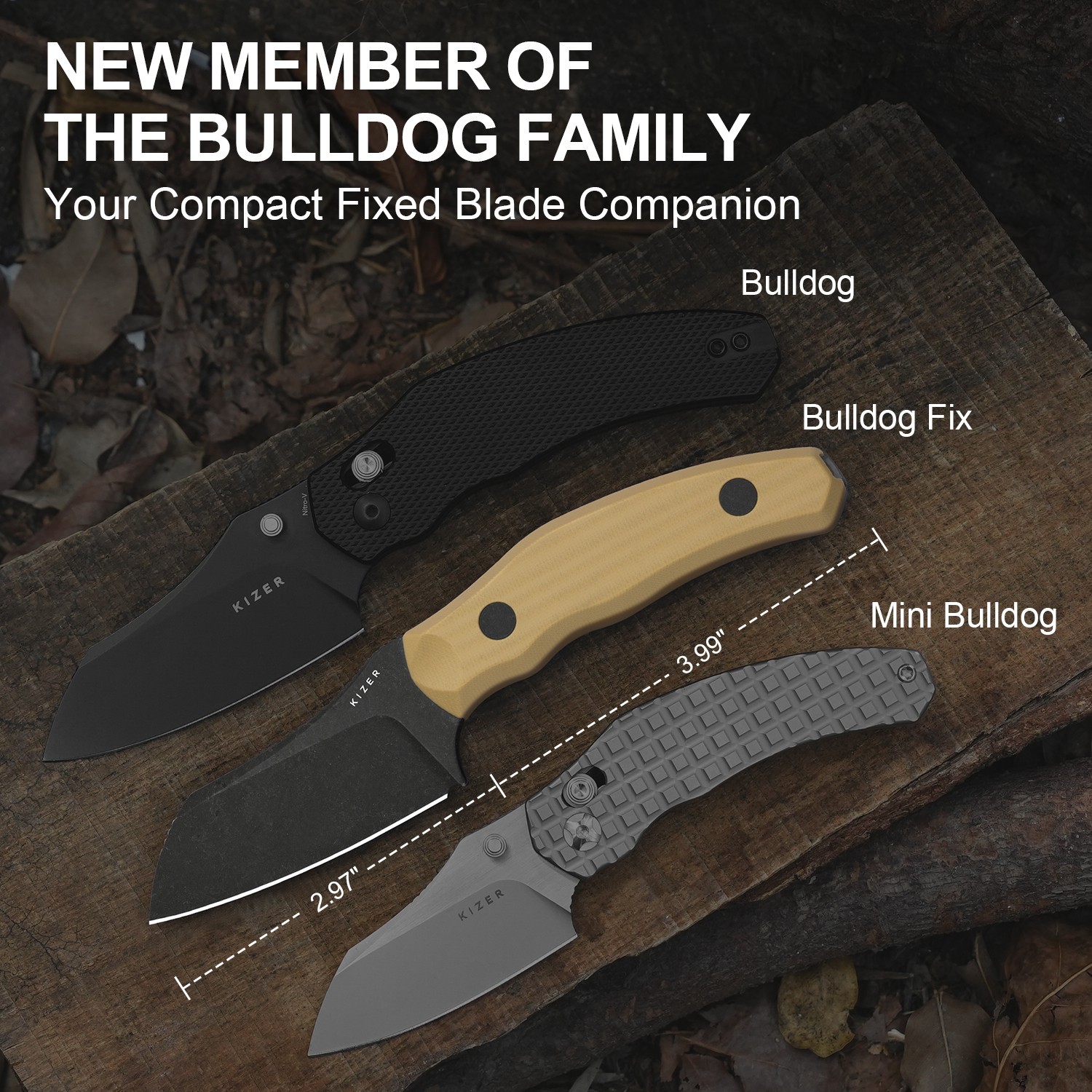 Kizer Bulldog Fix EDC Fixed Knife 14C28N Blade G10 Handle Camping 1116A2