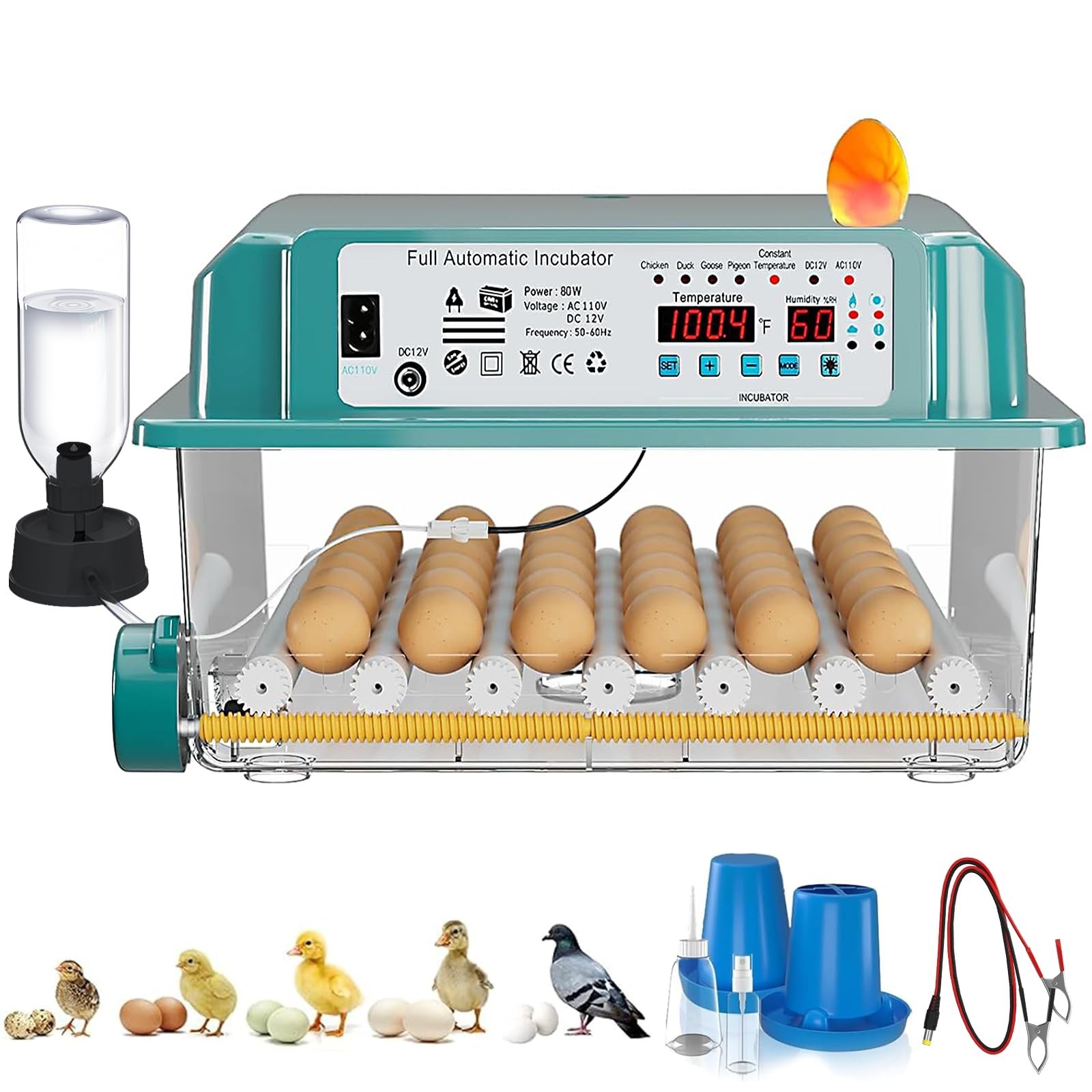 36 Egg Incubator for Hatching, Automatic Turning, Humidity Display, Quail & Chic