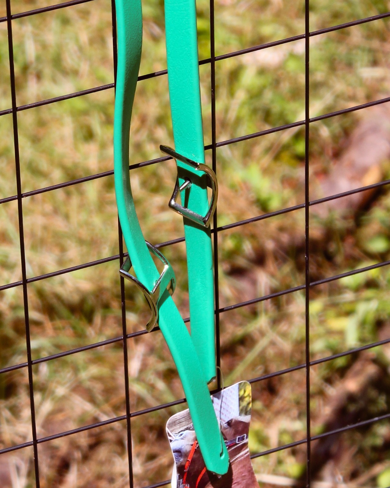 Biothane Split Reins - Kelly Green