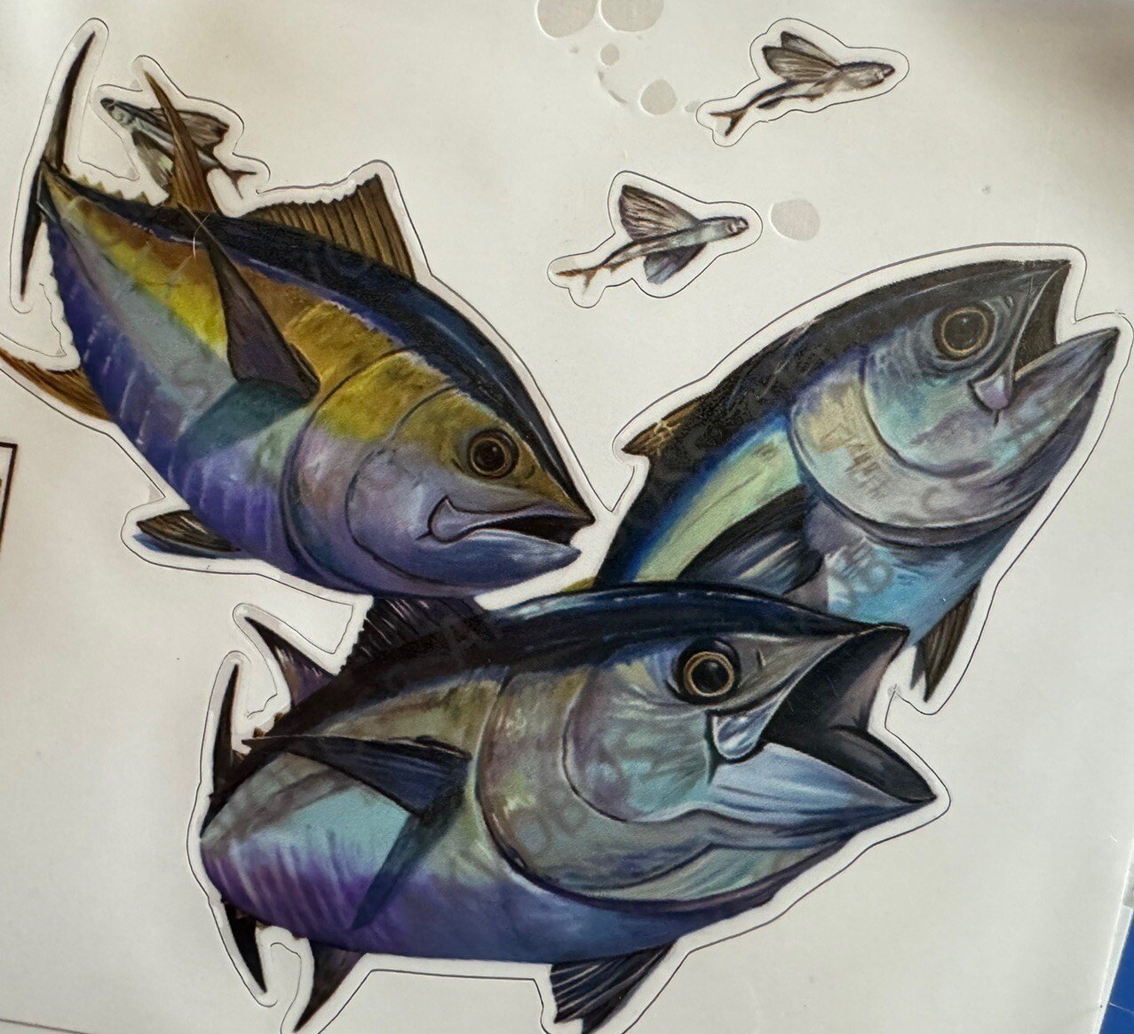 GIANT BLUEFIN TUNA DECAL, MAN CAVE DECAL STICKERS  FISHING, Laptop, Bait Bucket