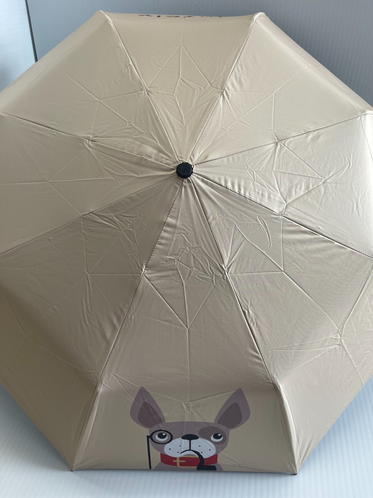 Compact umbrella, umbrella wholesale, small umbrella. free shipping