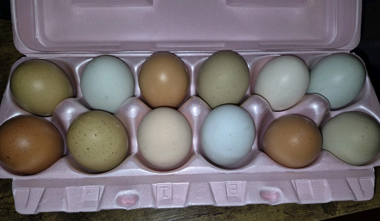 12 ct Chicken Hatching Eggs - Pick Your Colors Barnyard Mix