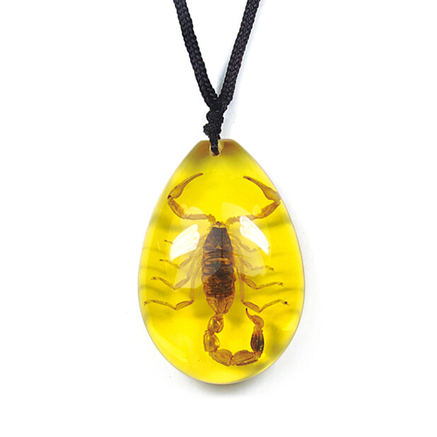 REAL YELLOW GOLD SCORPION NECKLACE ACRYLIC PRESERVED SPECIMEN ADJUSTABLE CHAIN