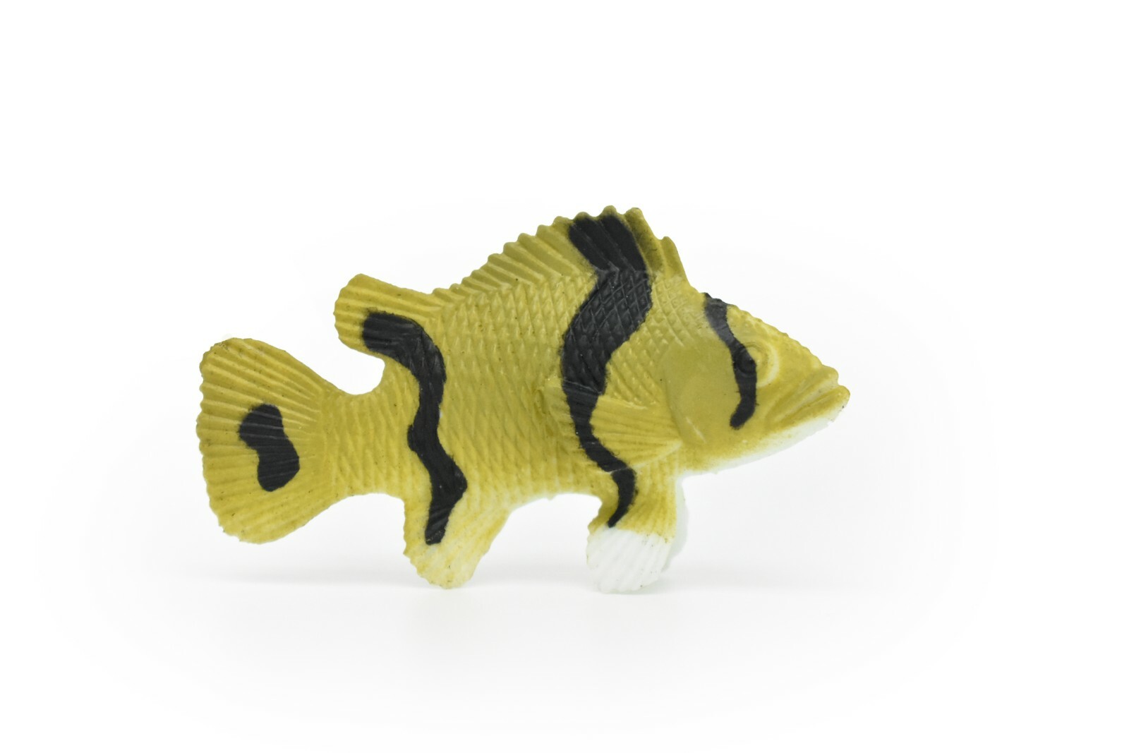 Sea Bass Toy, Grouper, Plastic Fish, Realistic Figurine, Gift,  2"   CWG268 B46