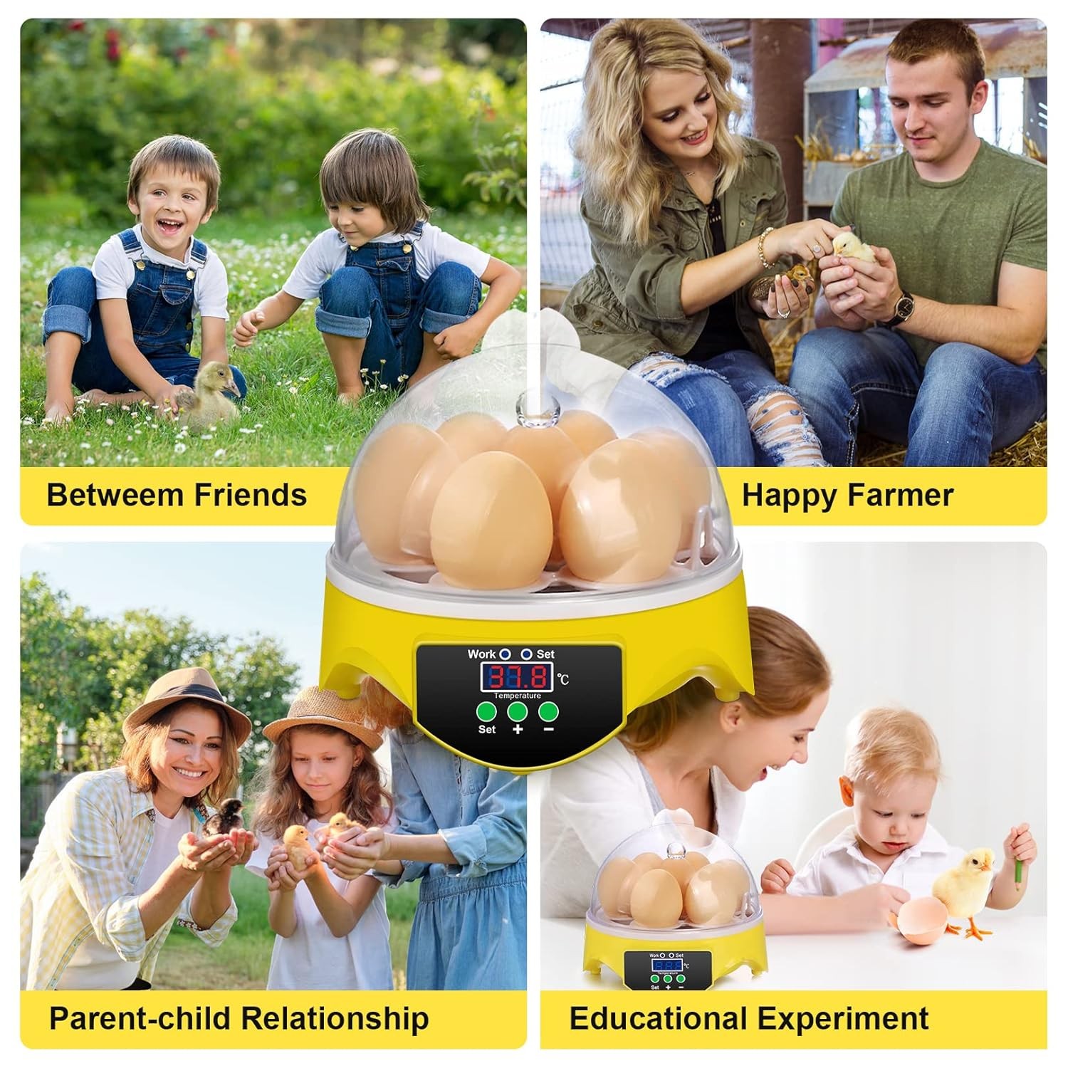 7 Egg Mini Incubator for Kids & Beginners 360° View Manual Temperature Control