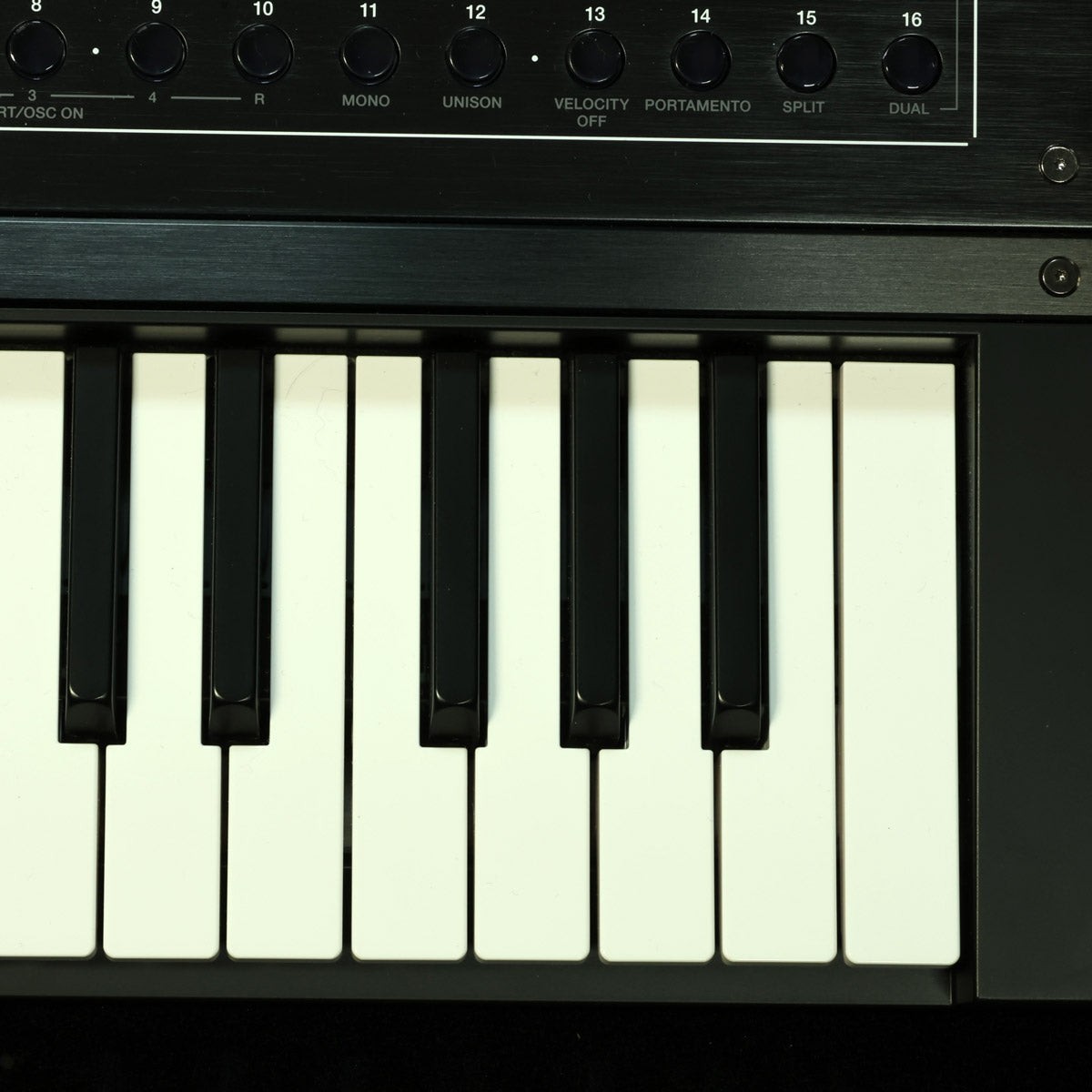 ROLAND JUPITER-Xm Synthesizer [Z6Q5366]