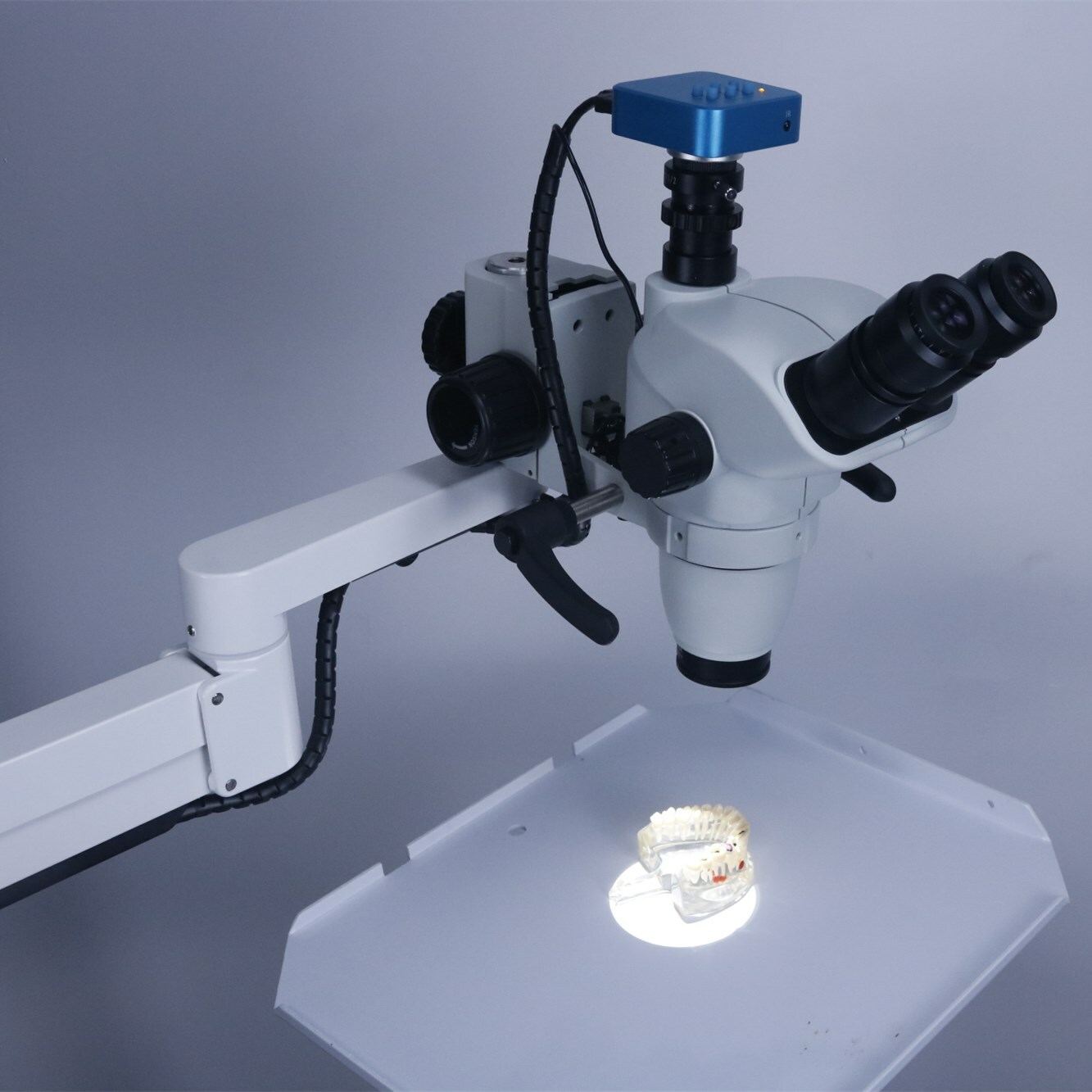 Dental Operating Stereo Microscope with Camera LED Light for Dental Chair Unit