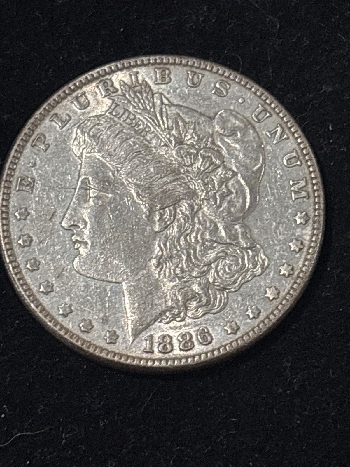 Morgan Silver Dollar 1886 P