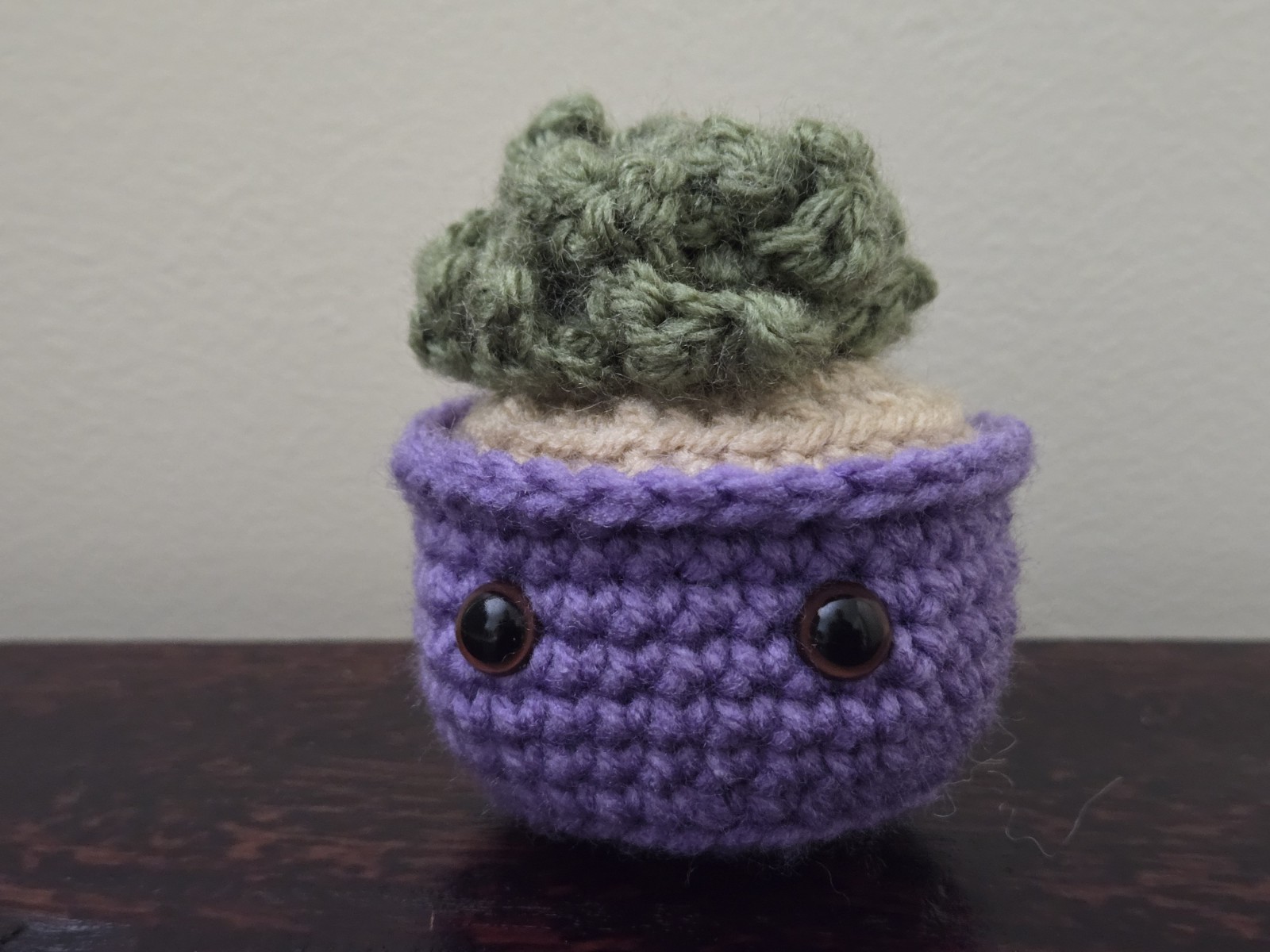 Hand-Crafted Crochet Succulent Plant
