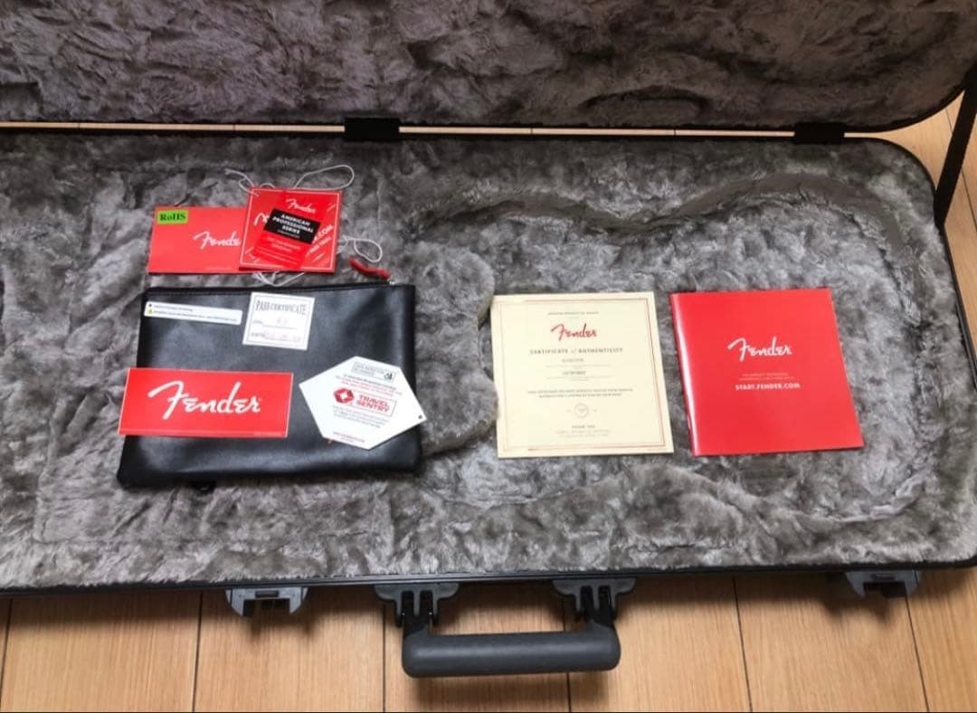 Fender American Professional Stratocaster