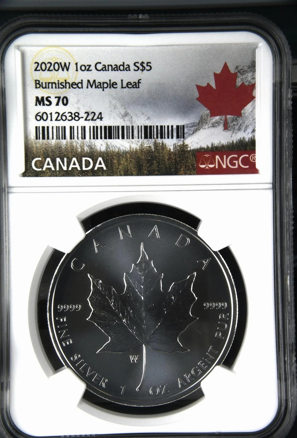 2020(W) 1oz Canada S$5 Burnished Maple Leaf MS70 (S20B - B19)