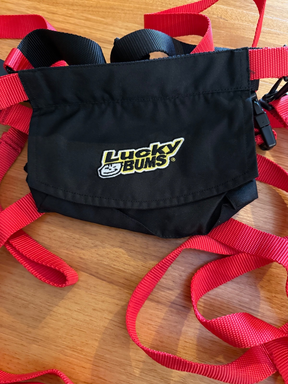 Lucky Bums Ski Trainer harness. with bag . clean, excellent.