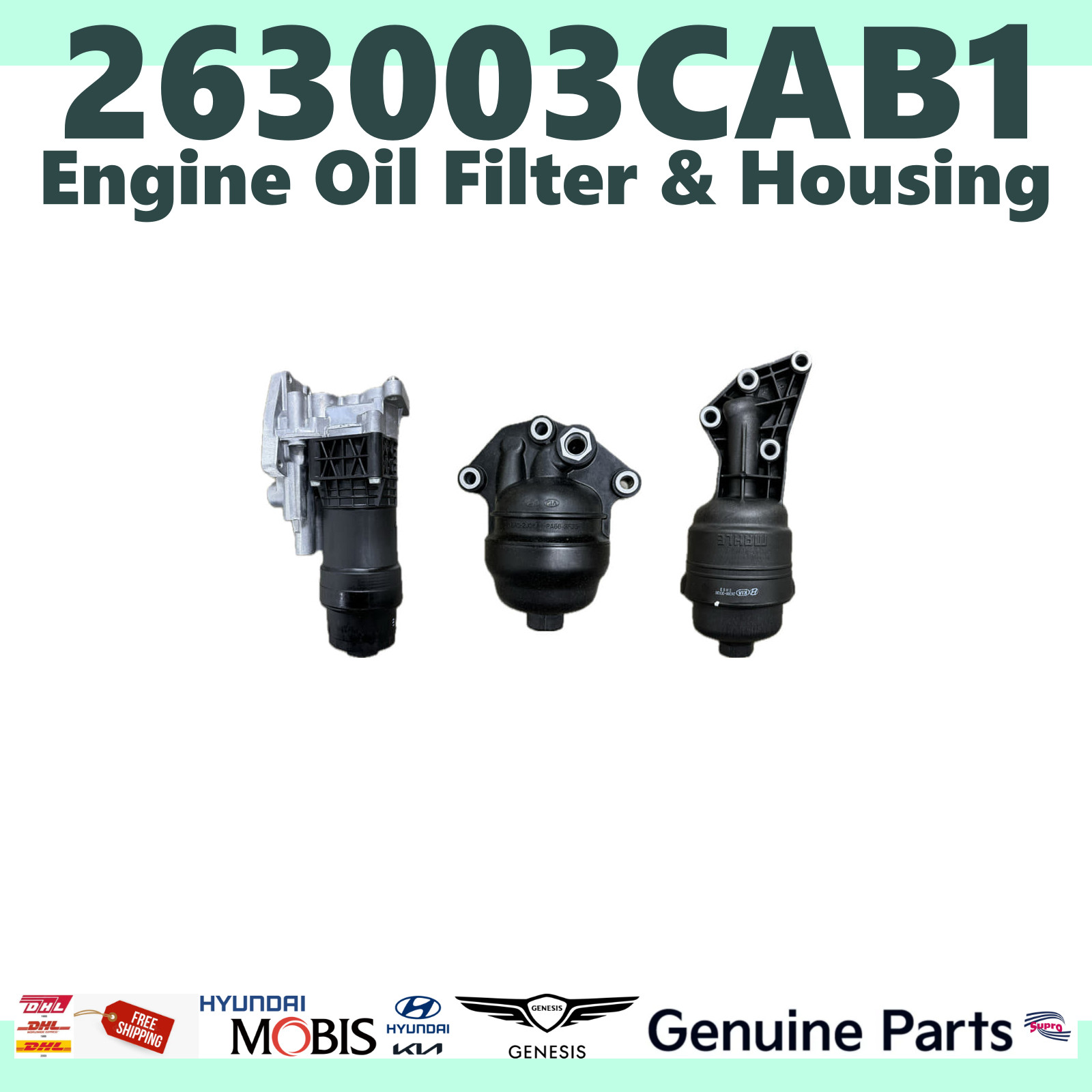 GENUINE OEM| Hyundai Eng housing Oil Filter 13-18 Santa Fe 3.3 263003CAB1
