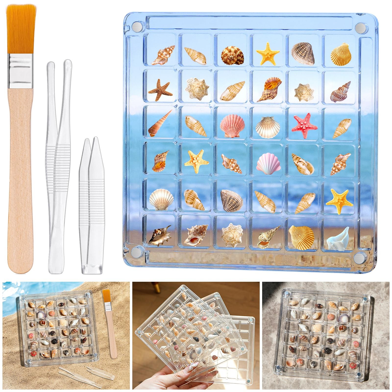 Seashell Display Box – 36 Grid Clear Acrylic Shell Holder & Organizer