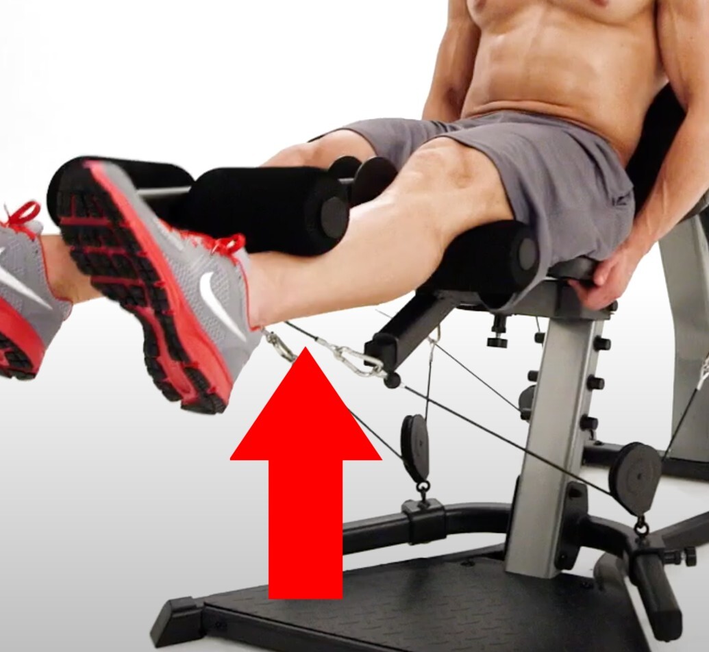 Bowflex 10" Long Replacement Cable Leg Extension Includes Pair Xtreme Revolution