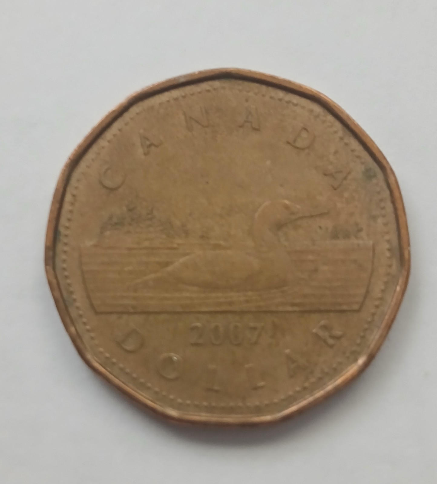 2007 Canadian One Dollar Loon "Loonie”.