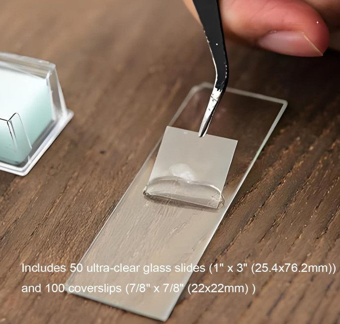 Microscope Slides and Covers – 50 Blank Glass Slides for Microscope with 100 Cov