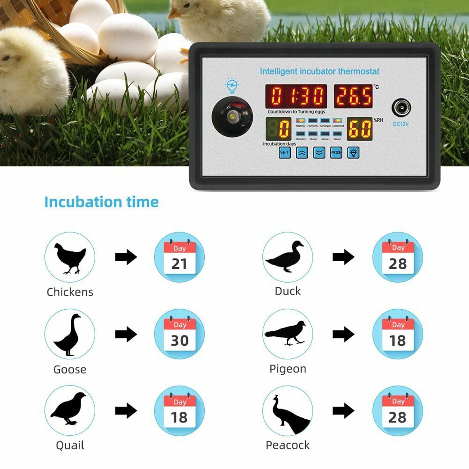 Thermostat Digital Temperature Humidity Automatic Egg Turning Control Incubator