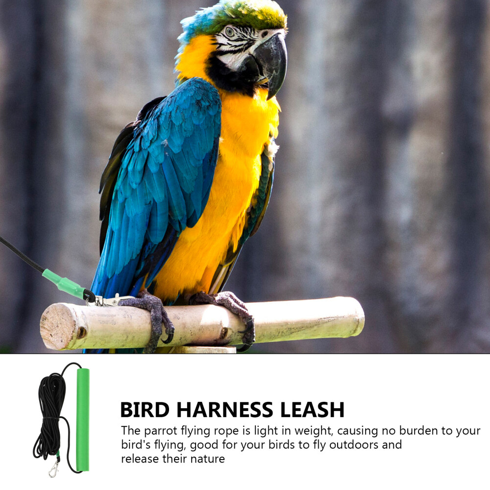 Conure Conure Bird Rope Hamster Leash Training