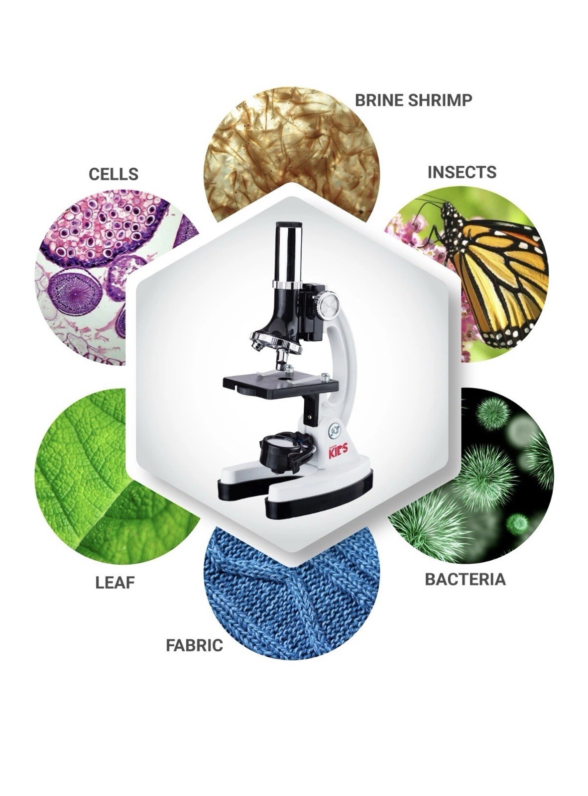 AmScope 52pc 120X-1200X Kids Starter Compound Microscope Portable Science Kit .
