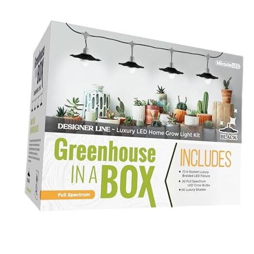 Grow with Elegance 4-Socket & Black Shade (4KK Full Spectrum Edition)