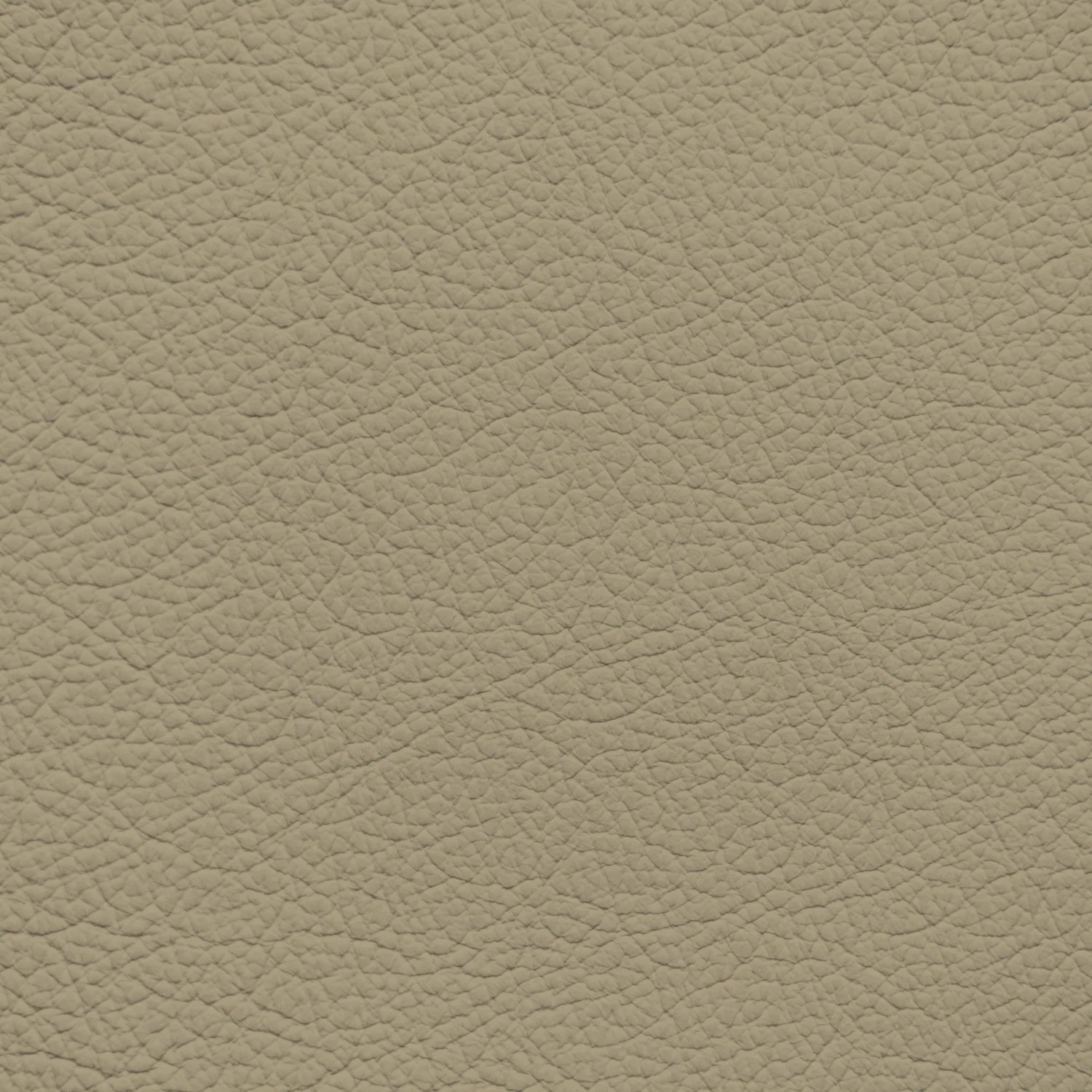 GM Light Biscuit Leather Dye