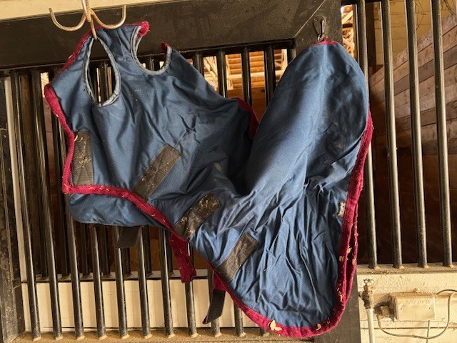 Radon Horse Hood, Heavy Weight Blue & Red