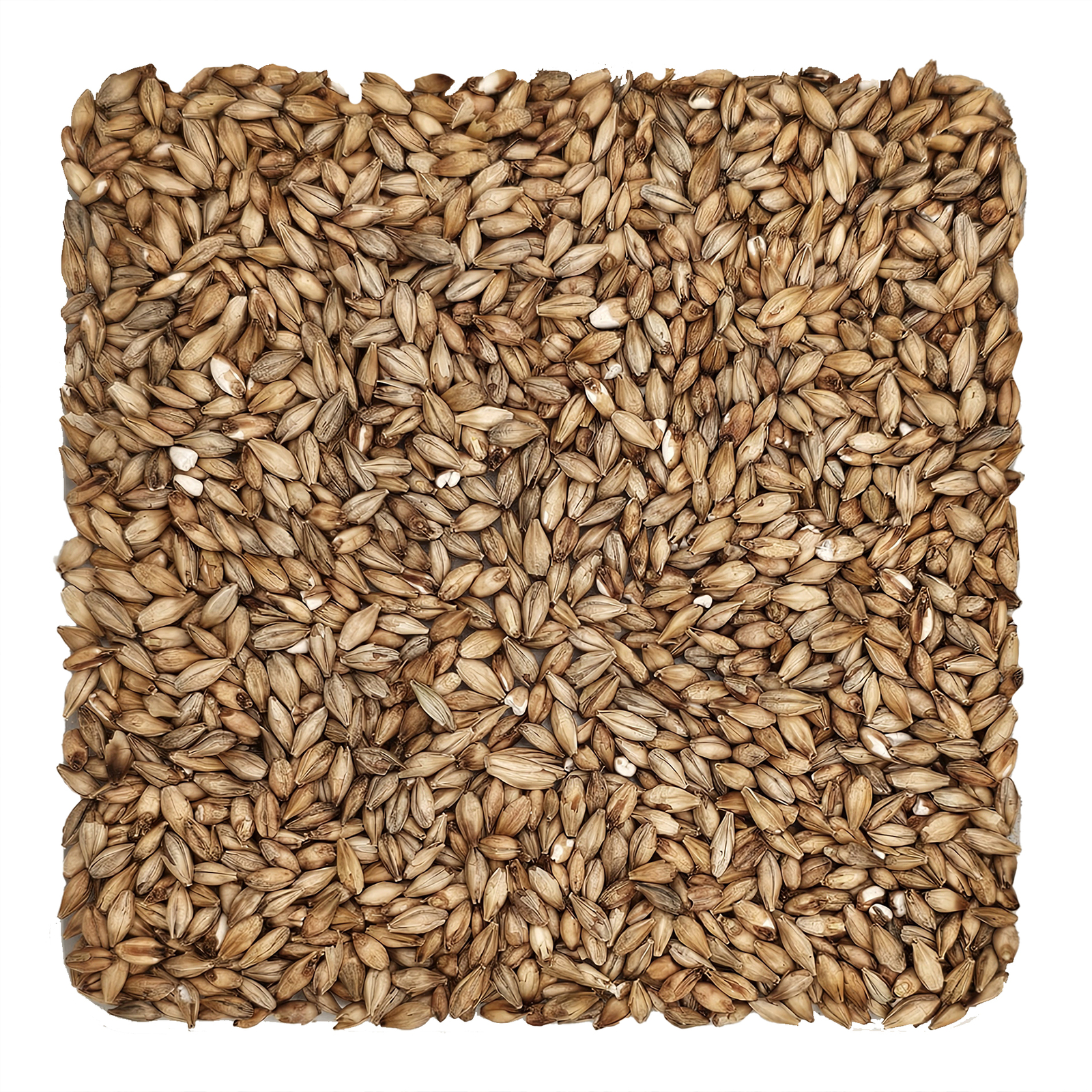 Home Brew Ohio Acidulated Grain 1lb