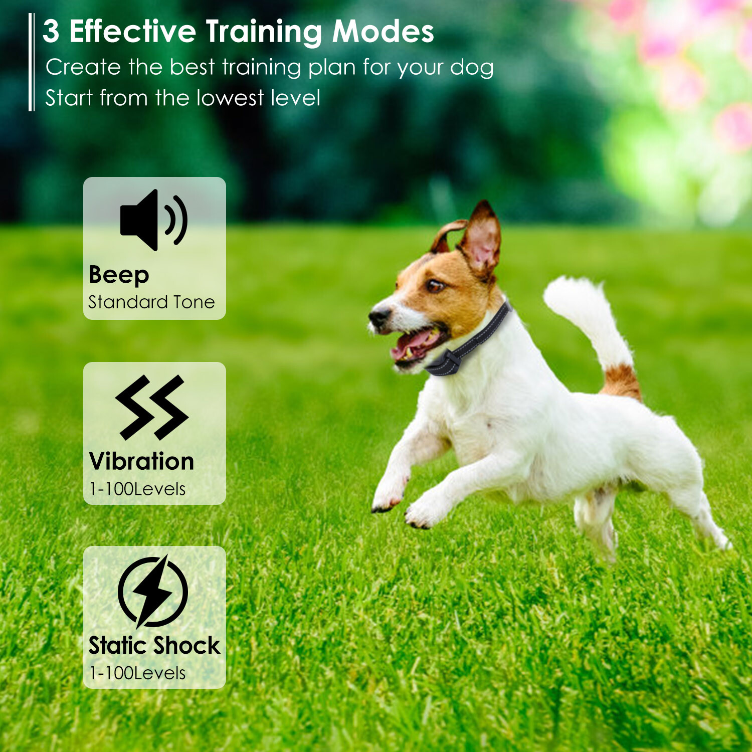 1640FT Dog Training Collar Rechargeable Remote Shock PET Waterproof Trainer