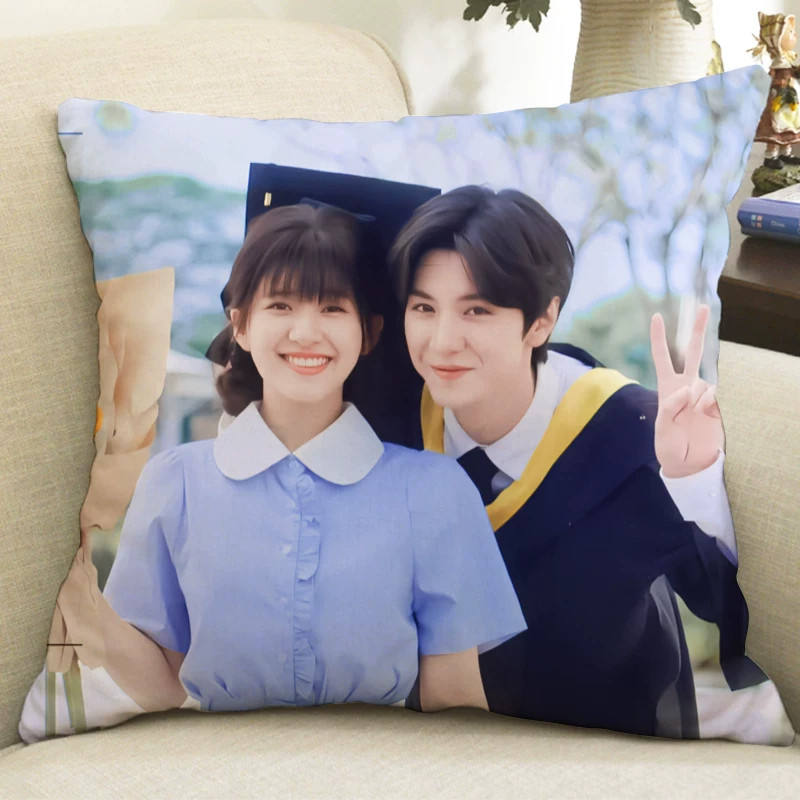 Hidden Love Drama Rusy Zhao lusi Chen zhe yuan Pillow Case No Padding 40*40cm