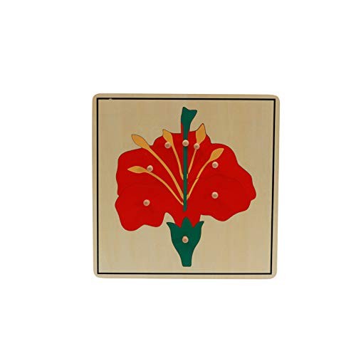 Materials Botany Puzzle Cabinet (3 Puzzles Included)