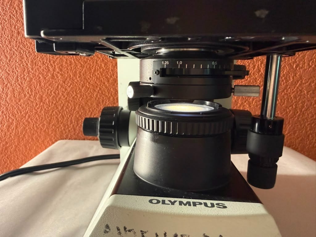 Olympus CX31RBSF Binocular Biological Compound Microscope