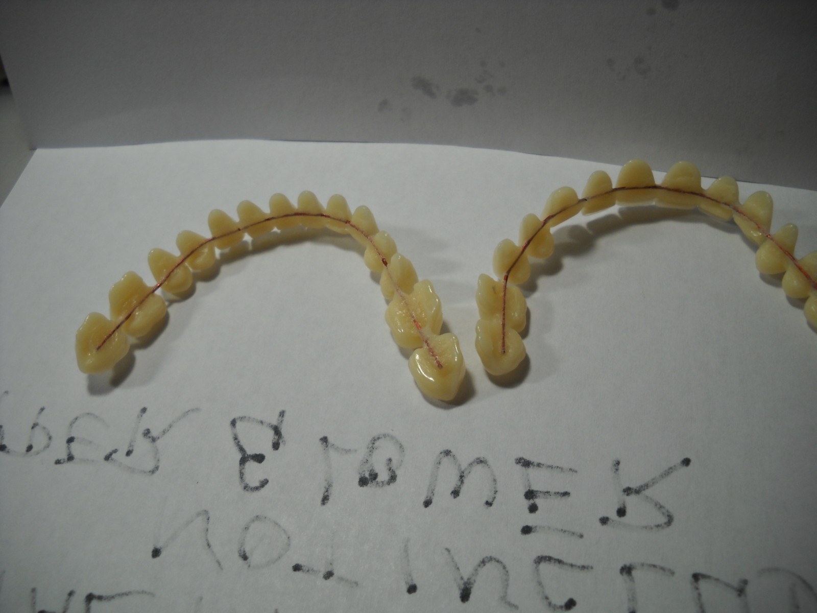 641L Dentures flexable synthatic  rasin teeth color A1 medium on copper wire