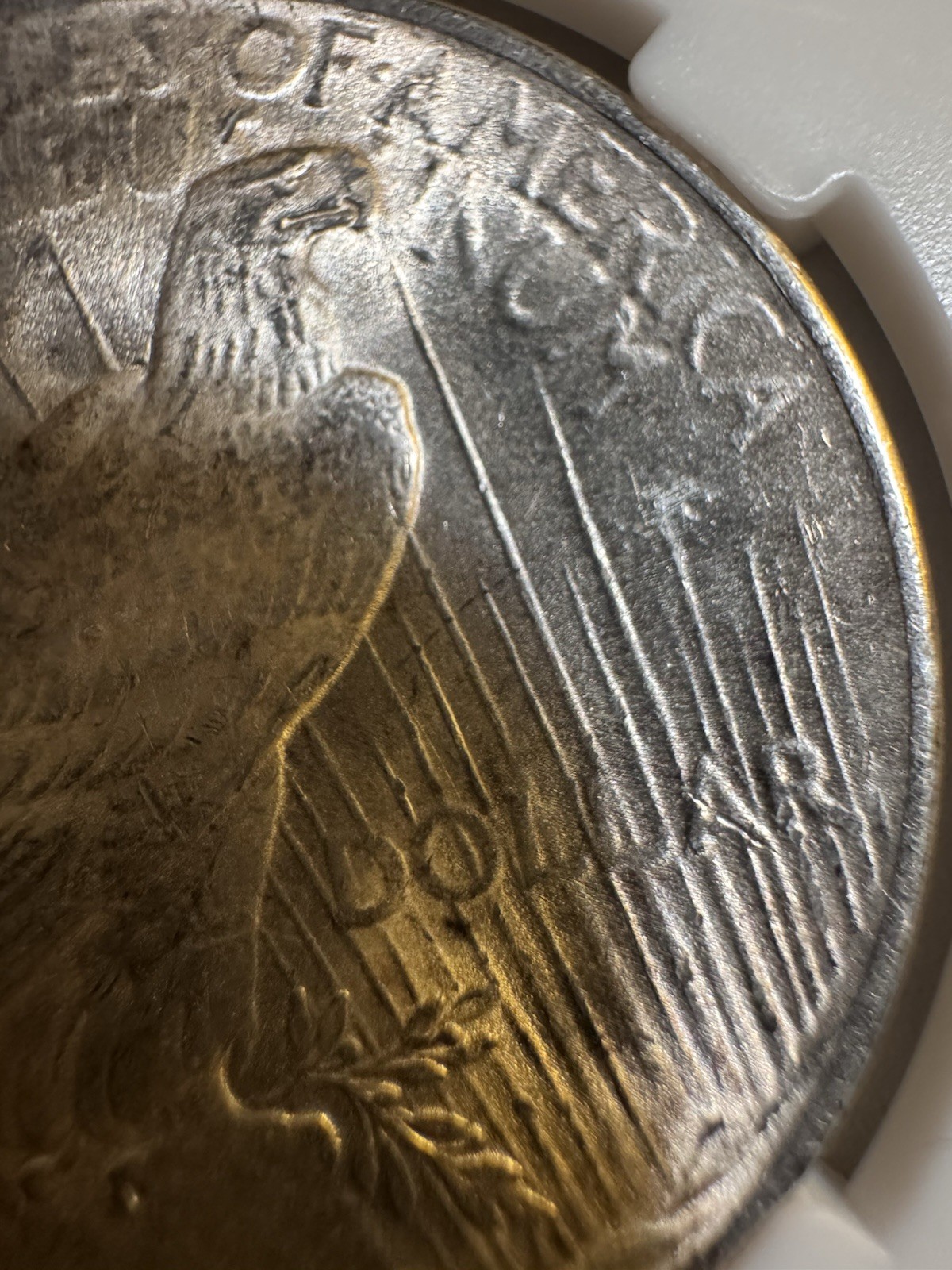 1924‑P Peace Dollar MS62–MS64 Range • Bright Luster • 26.702g