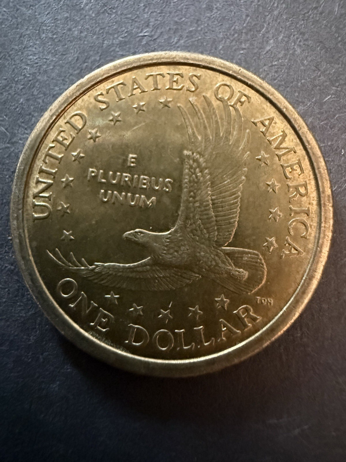 2000 P Sacagawea Dollar Coin