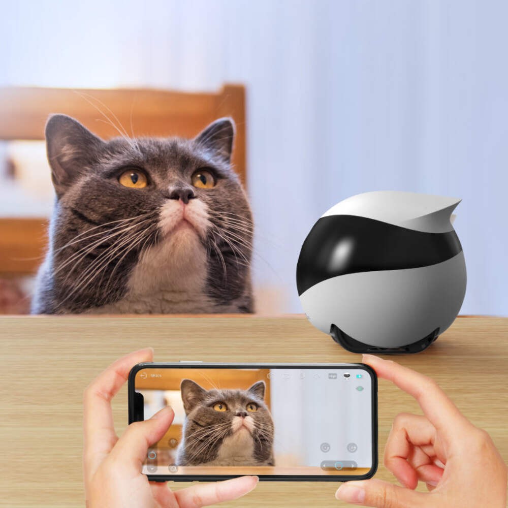 EBO SE Wireless Camera Robot