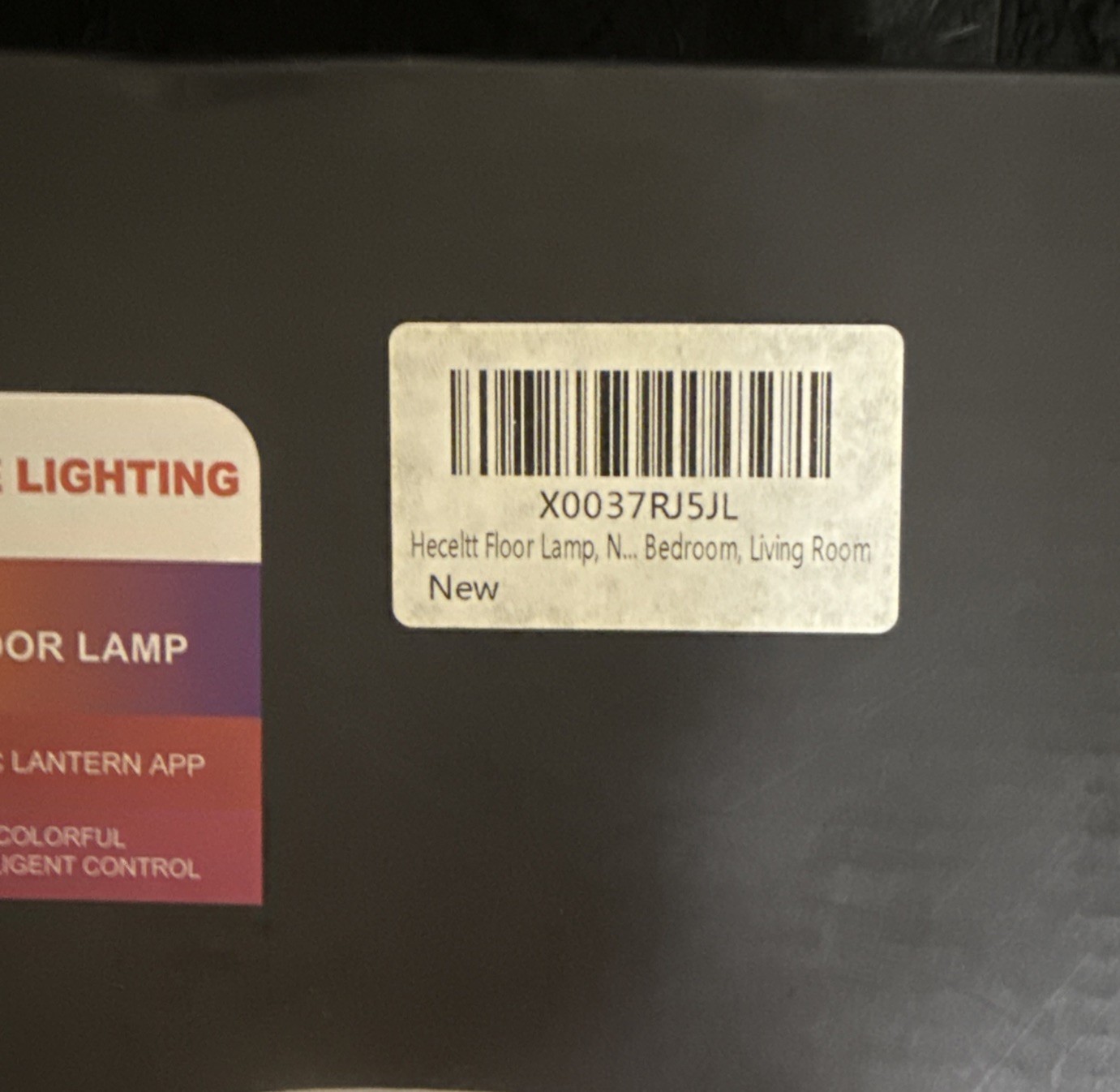 DECORED LED Floor Lamp Color Changeable IP20 HCP051 2Lights Remote