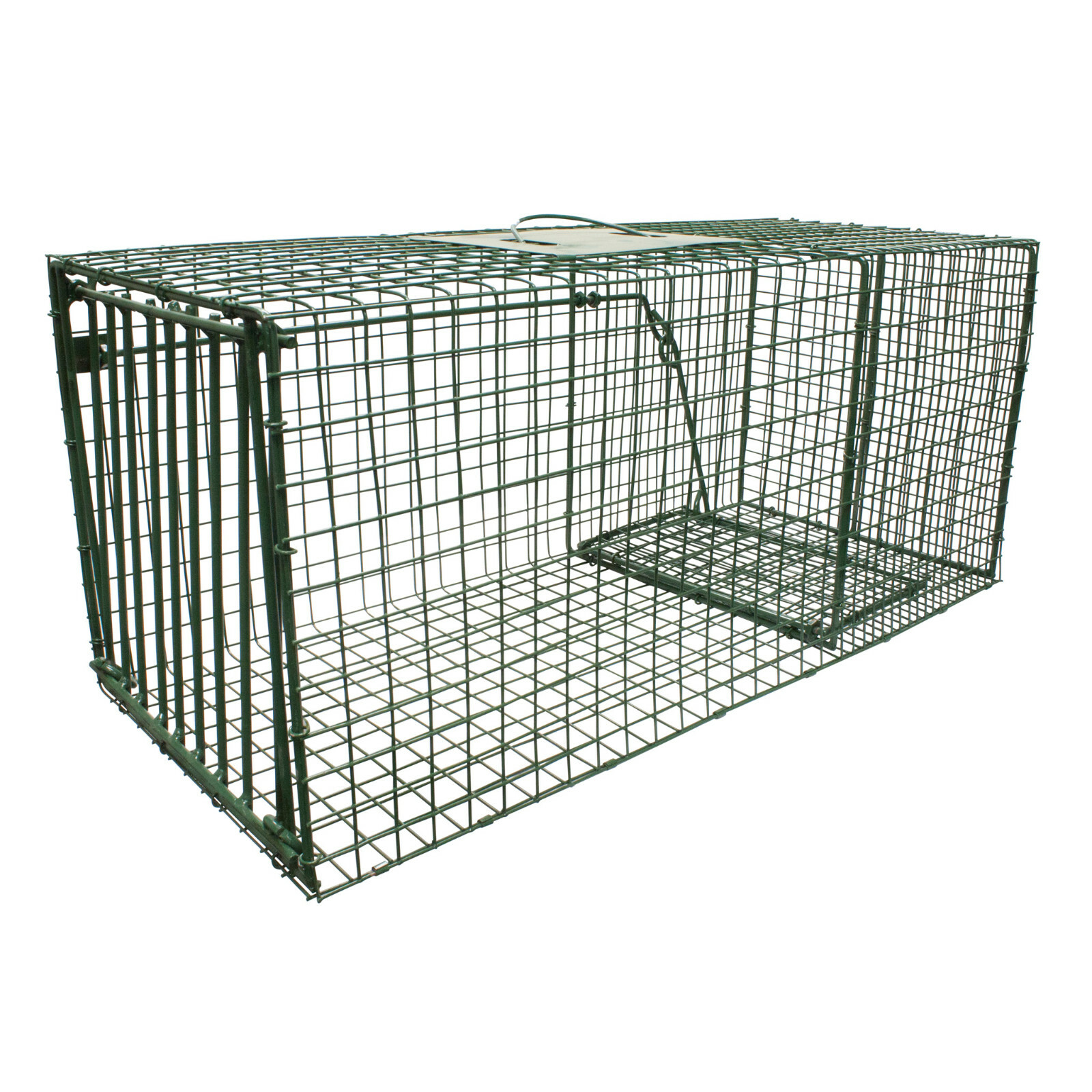 Duke Traps Heavy Duty Raccoon  Armadillo Trap 1112 Raccoons, Cats and Armadillos