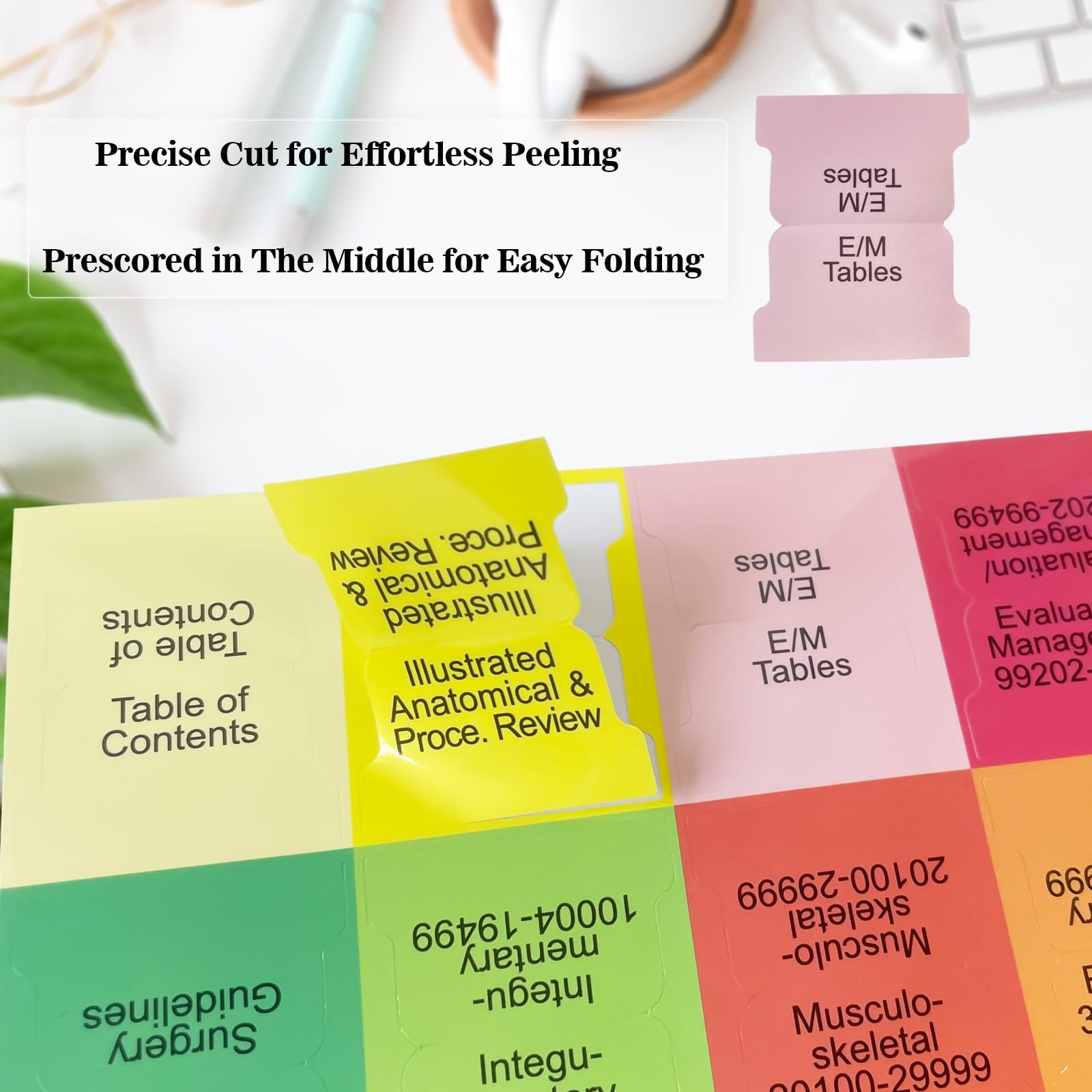 Upgraded Index Tabs for CPT 2025 Professional Edition, Medium, Colorful