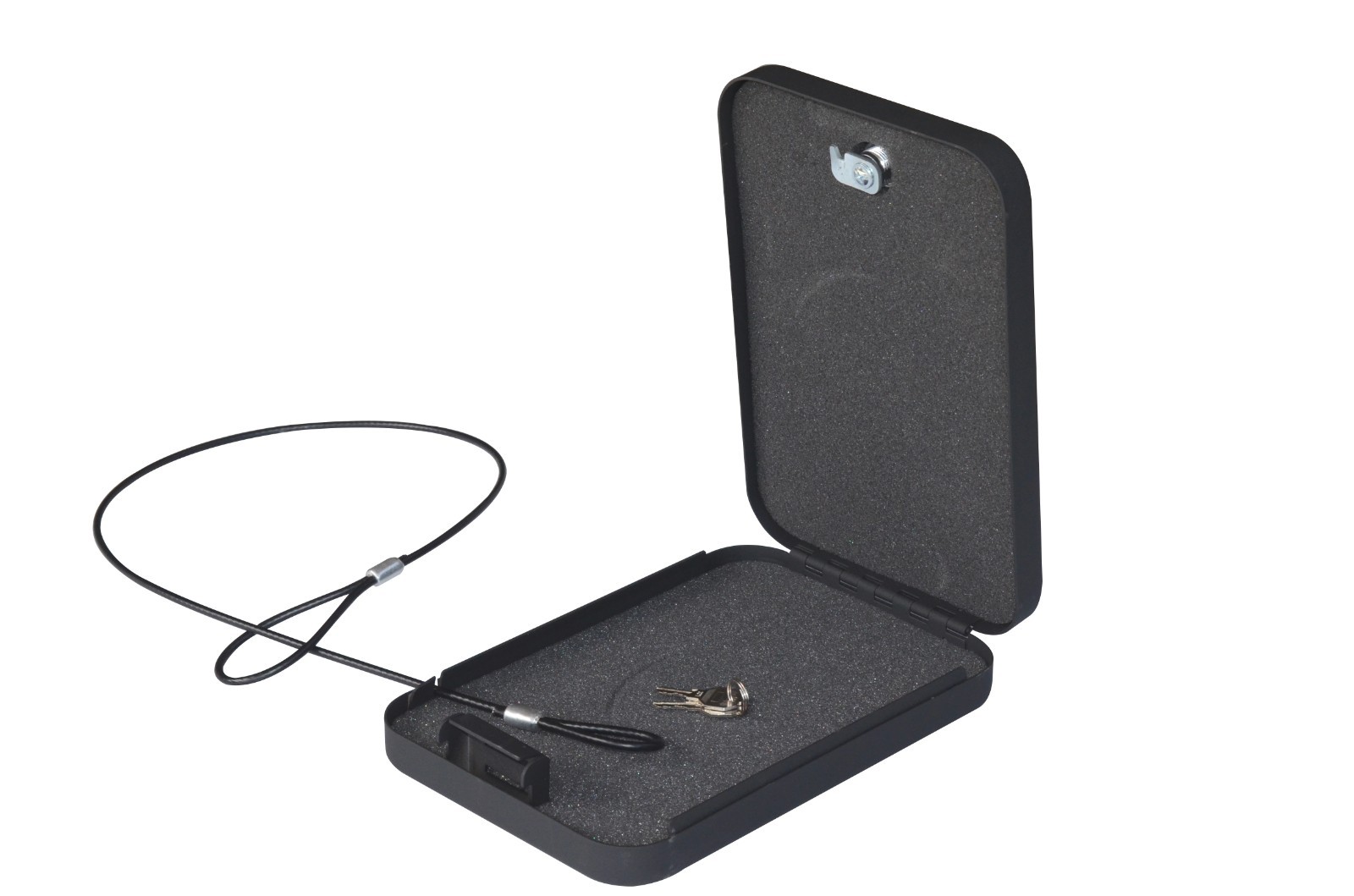 Portable Lock Box