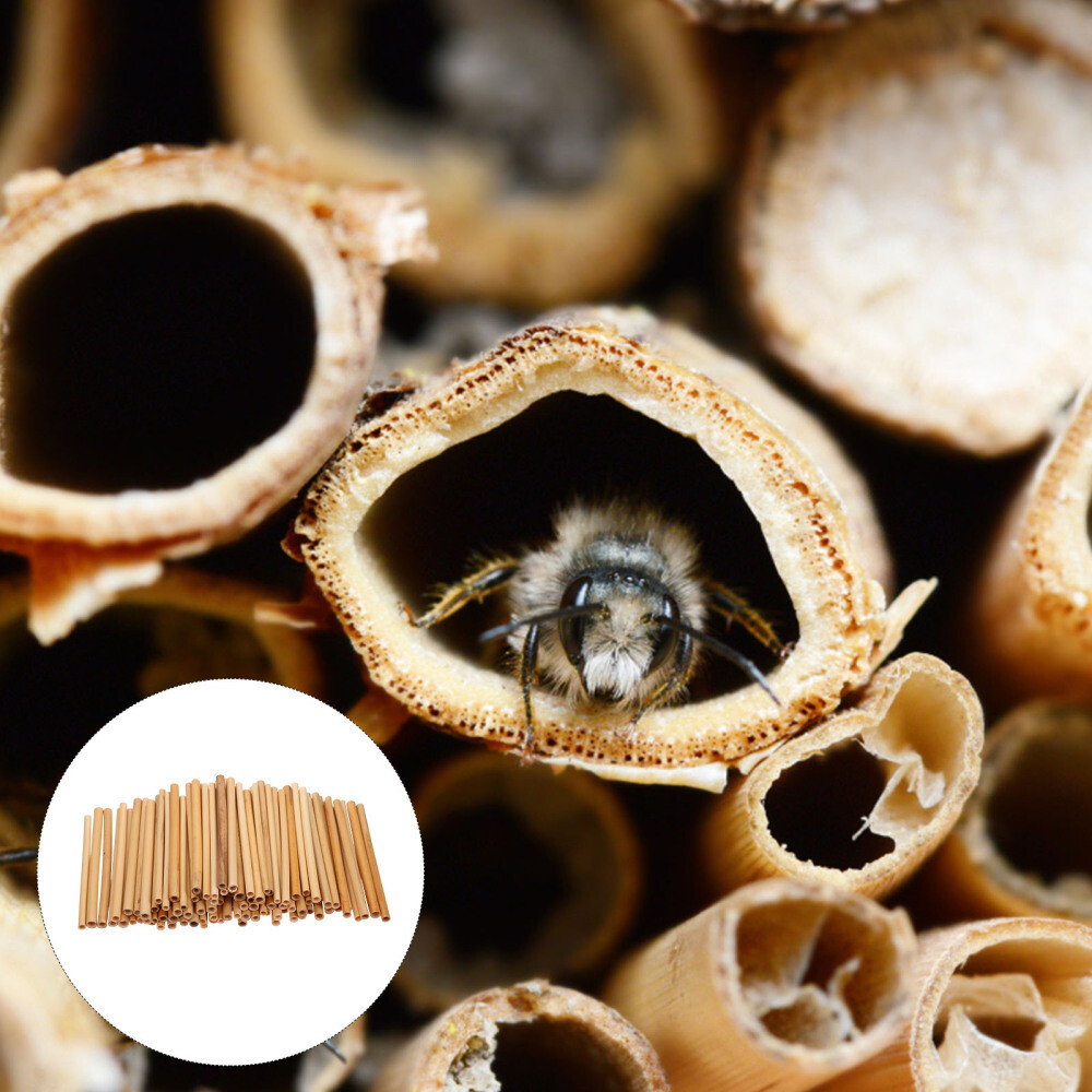 100 Pcs Native Bee Tubes Leafcutter Honeycomb Reed Refill Natural