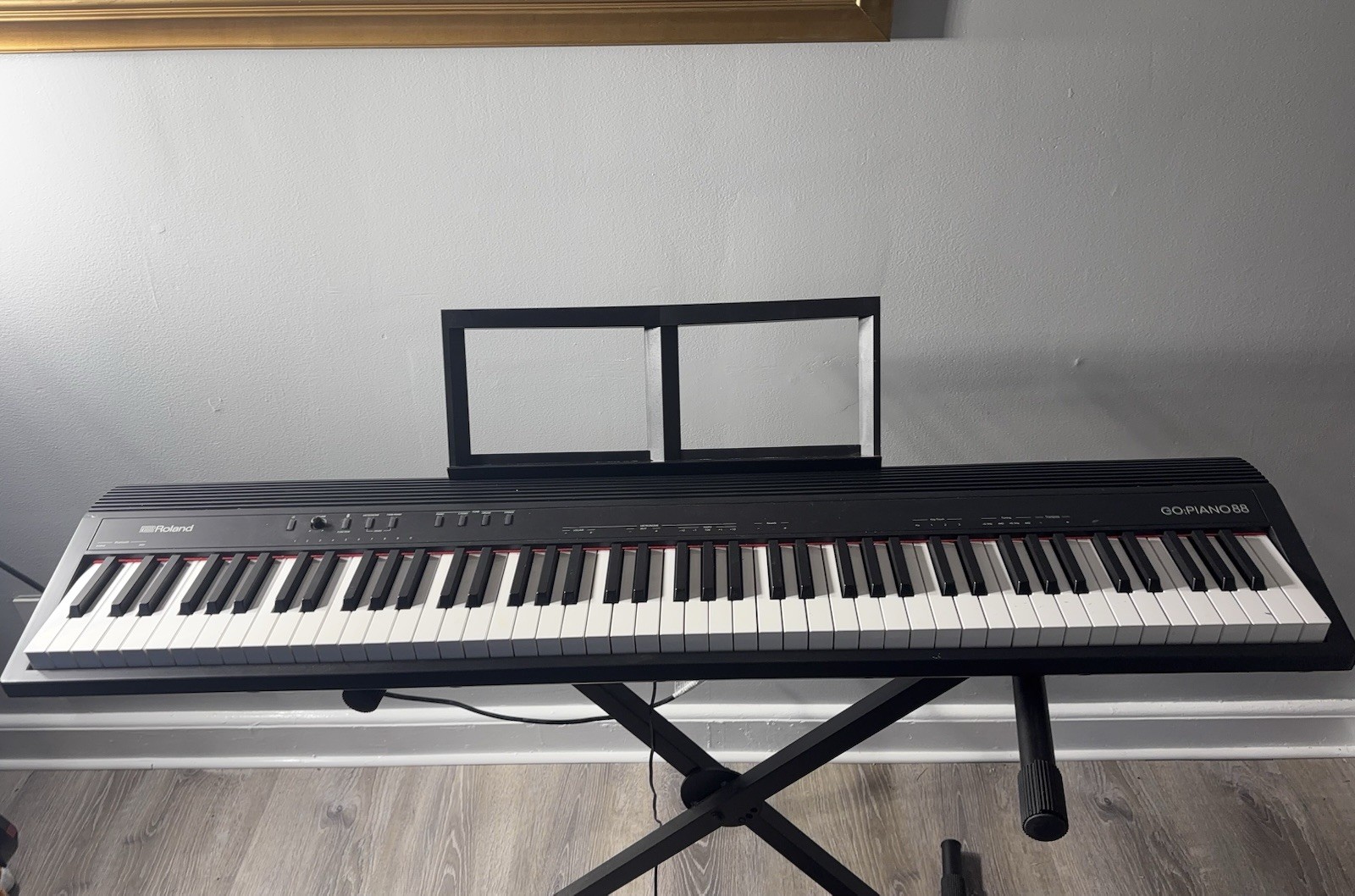 Roland go Piano 88 Excellent Condition  With Stand