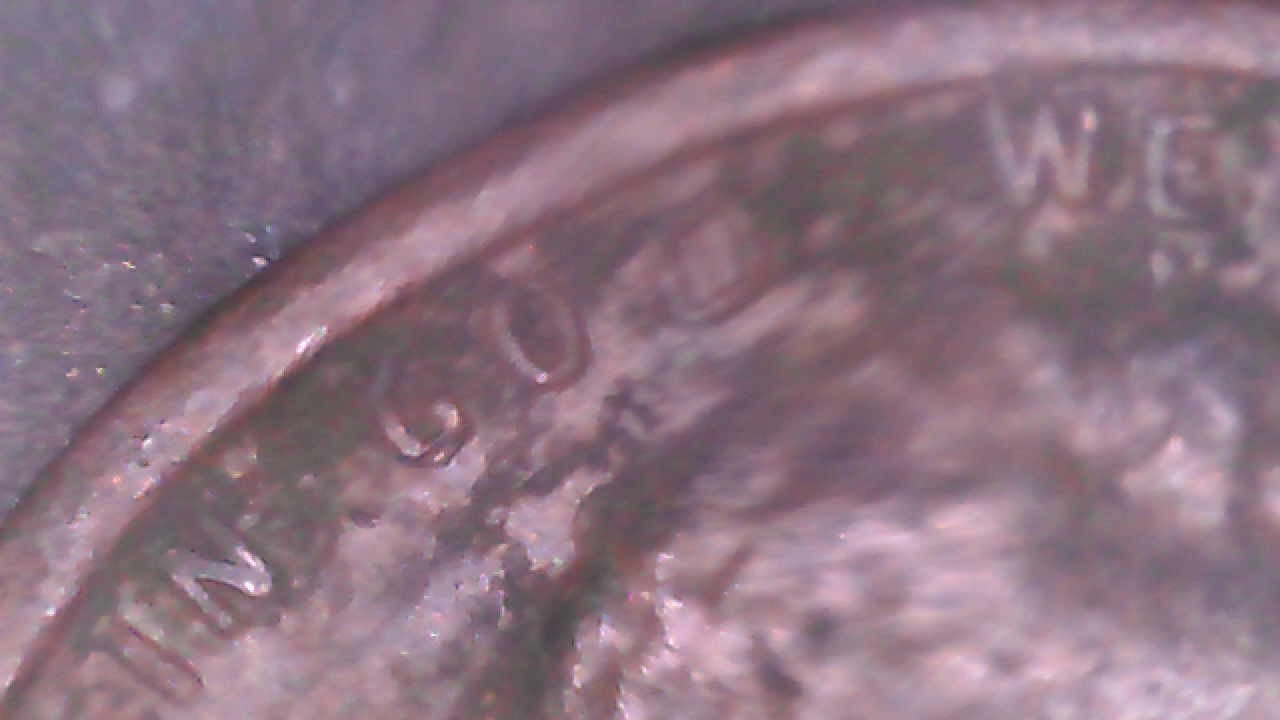 1919 P Liberty Lincoln Wheat Cent