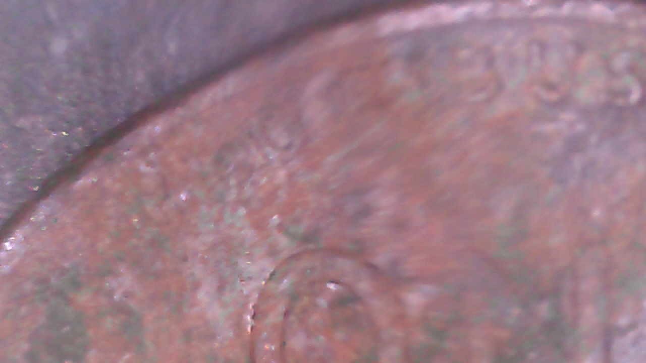 1919 P Liberty Lincoln Wheat Cent