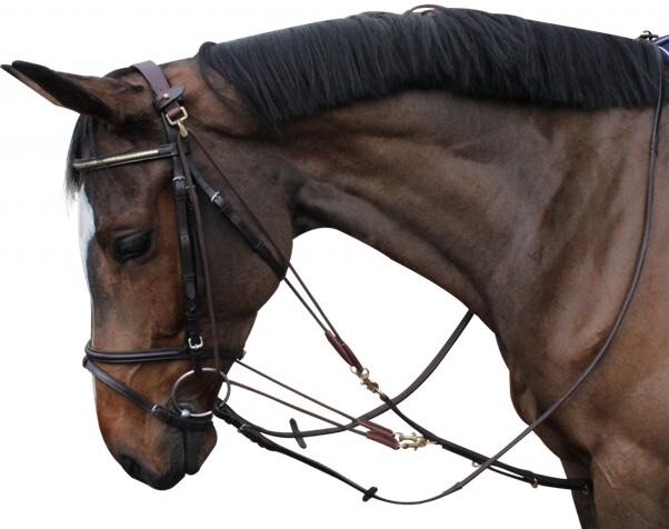 Leaders Gogue Training Horse