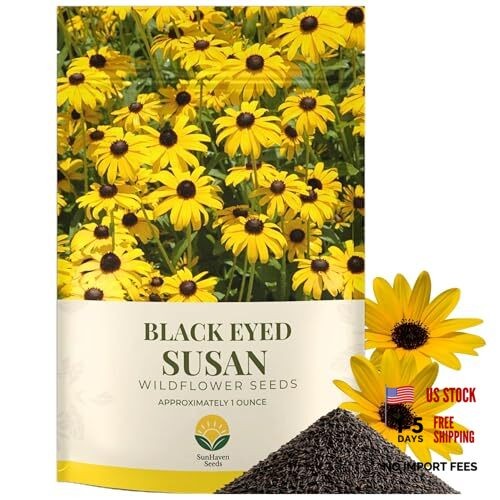 Black Eyed Susan Seeds – 100,000+ Seeds – 1 oz Bulk Extra Large Resealable