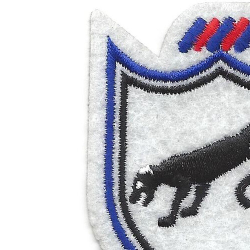 505th Airborne Infantry Regiment Patch Ready